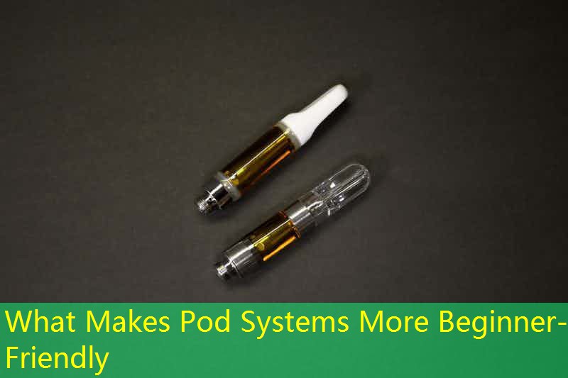 What Makes Pod Systems More Beginner-Friendly