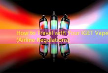 How to Travel with Your IGET Vape (Airline Regulations)-vape