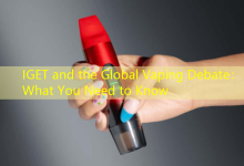 IGET and the Global Vaping Debate： What You Need to Know-vape