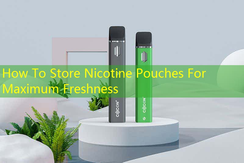 How To Store Nicotine Pouches For Maximum Freshness