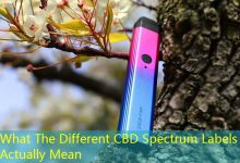 What The Different CBD Spectrum Labels Actually Mean-vape