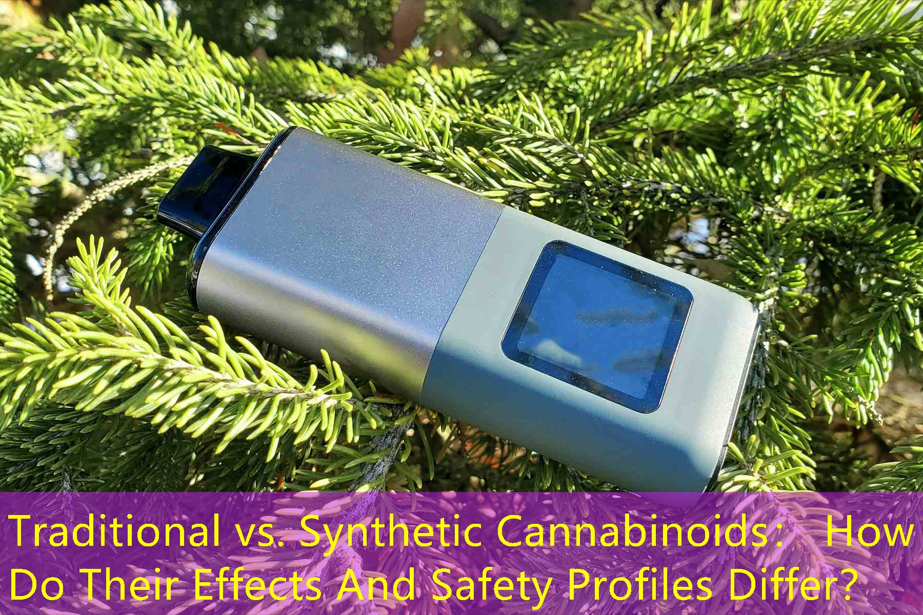 Traditional vs. Synthetic Cannabinoids： How Do Their Effects And Safety Profiles Differ？