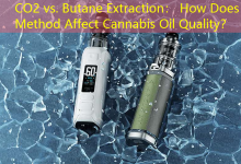 CO2 vs. Butane Extraction： How Does Method Affect Cannabis Oil Quality？-vape