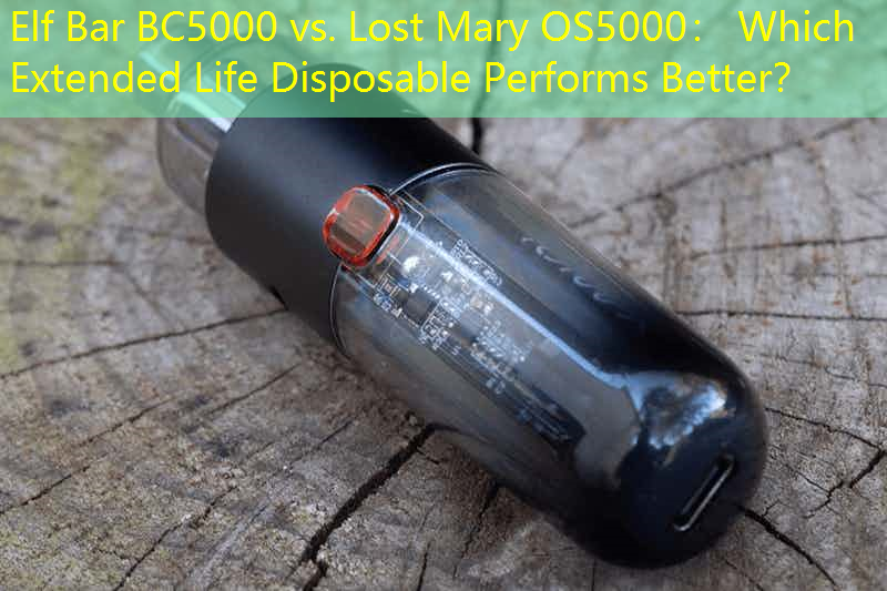 Elf Bar BC5000 vs. Lost Mary OS5000： Which Extended Life Disposable Performs Better？