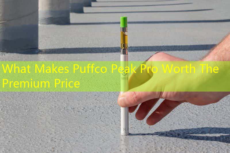 What Makes Puffco Peak Pro Worth The Premium Price