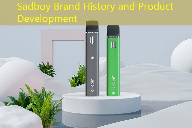 Sadboy Brand History and Product Development