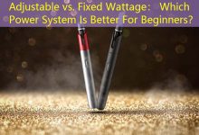 Adjustable vs. Fixed Wattage： Which Power System Is Better For Beginners？-vape