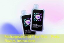 Rechargeable IGET Bar Plus： Pods, Flavors, Instructions-vape