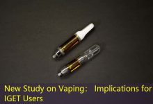 New Study on Vaping： Implications for IGET Users-vape