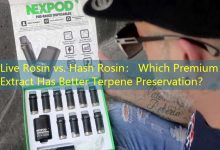 Live Rosin vs. Hash Rosin： Which Premium Extract Has Better Terpene Preservation？-vape