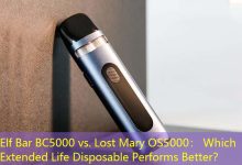 Elf Bar BC5000 vs. Lost Mary OS5000： Which Extended Life Disposable Performs Better？-vape