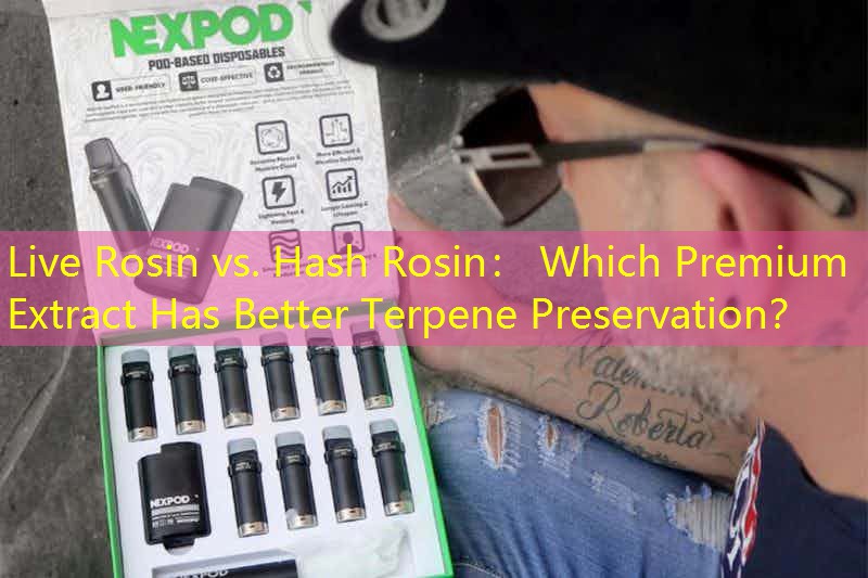 Live Rosin vs. Hash Rosin： Which Premium Extract Has Better Terpene Preservation？