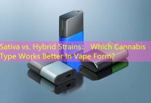 Sativa vs. Hybrid Strains： Which Cannabis Type Works Better In Vape Form？-vape