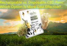 Rechargeable vs. Disposable CBD Pens： Which Option Is More Cost Effective？-vape