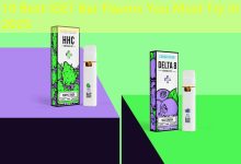 10 Best IGET Bar Flavors You Must Try in 2025-vape