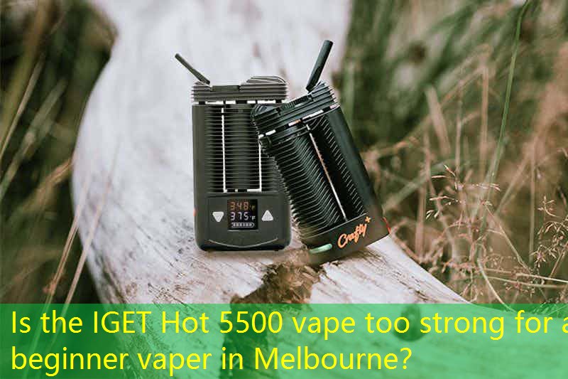 Is the IGET Hot 5500 vape too strong for a beginner vaper in Melbourne？