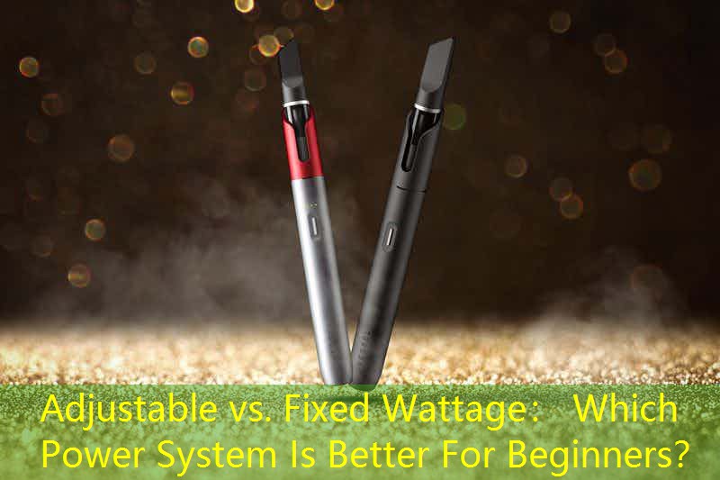 Adjustable vs. Fixed Wattage： Which Power System Is Better For Beginners？