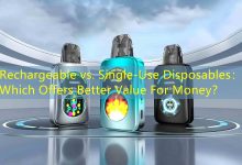 Rechargeable vs. Single-Use Disposables： Which Offers Better Value For Money？-vape