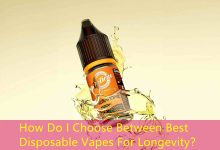 How Do I Choose Between Best Disposable Vapes For Longevity？-vape