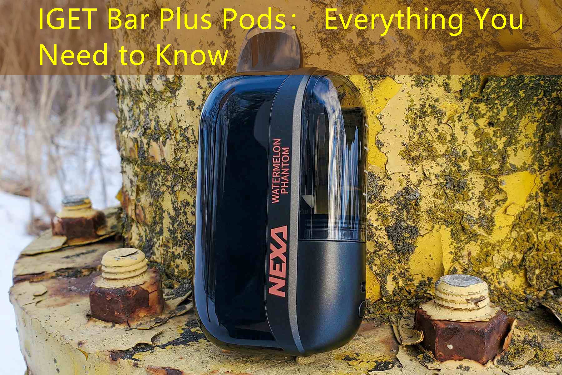 IGET Bar Plus Pods： Everything You Need to Know